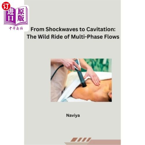 海外直订From Shockwaves to Cavitation: The Wild Ride of Multi-Phase Flows 从冲击波到空化：多相流的狂野之旅