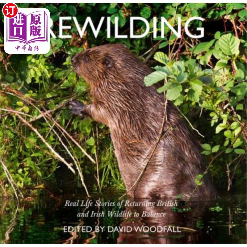 海外直订Rewilding: Real Life Stories of Returning British and Irish Wildlife to Balance 野化:英国和爱尔兰野生动物回