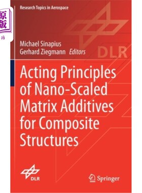 海外直订Acting Principles of Nano-Scaled Matrix Additives for Composite Structures 纳米基体添加剂在复合材料结构中的作用