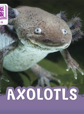 海外直订Axolotls 阿索洛特尔斯