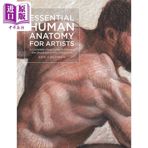 Essential Human Anatomy for Artists 进口艺术 艺术家必备人体解剖学 Rockport Publishers出版【中商原版】