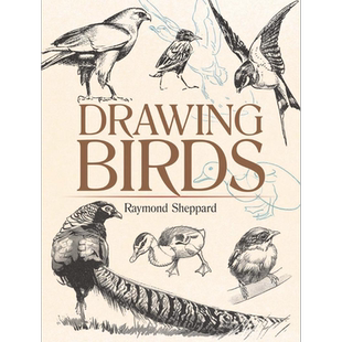 Drawing Birds 进口艺术 绘画鸟 Dover【中商原版】