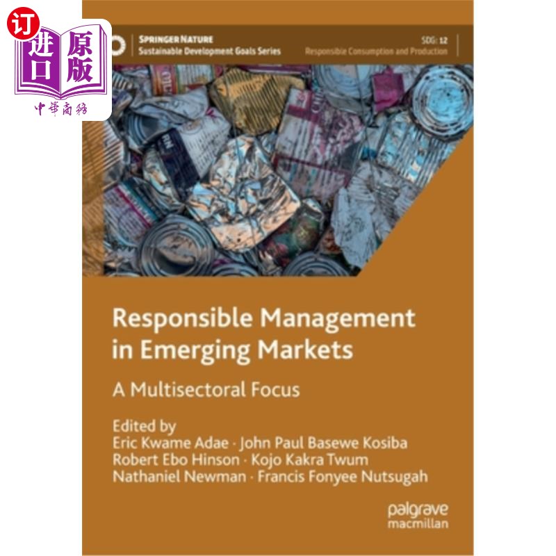 海外直订Responsible Management in Emerging Markets: A Multisectoral Focus 新兴市场的负责任管理:多部门关注