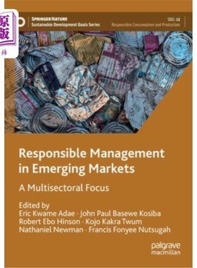 海外直订Responsible Management in Emerging Markets: A Multisectoral Focus 新兴市场的负责任管理:多部门关注