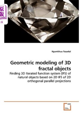 海外直订Geometric Modeling of 3D Fractal Objects 三维分形对象的几何建模