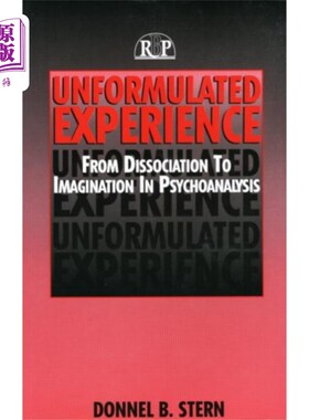 海外直订Unformulated Experience 未系统地阐述的经验