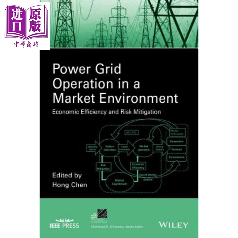 市场环境中的电网运行 经济效率与风险缓解 Power Grid Operation In A Market Environment 英文原版 Hong Chen【中商原版】