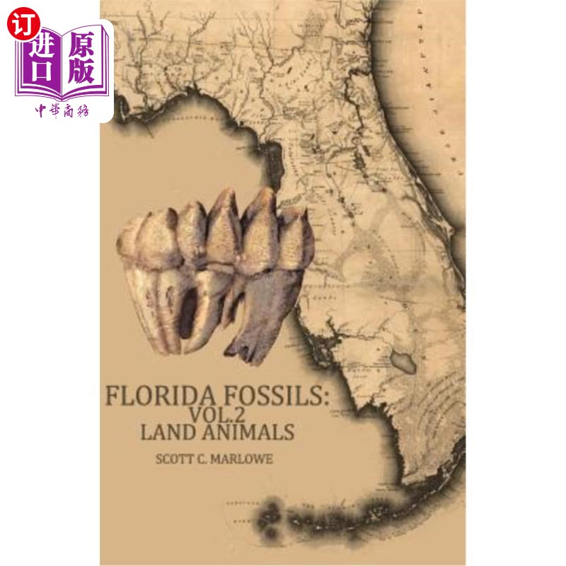 海外直订Florida Fossils: Land Animals 佛罗里达化石：陆地动物