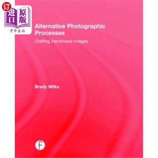 Images Crafting Handmade 手工制作图像 另类摄影过程 Photographic 海外直订Alternative Processes