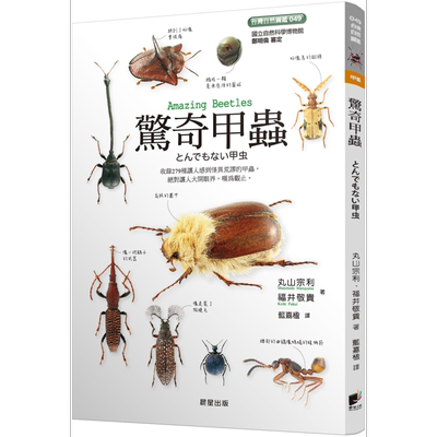 惊奇甲虫 港台原版 丸山宗利 福井敬贵 晨星 昆虫图鉴 昆虫百科科普【中商原版】