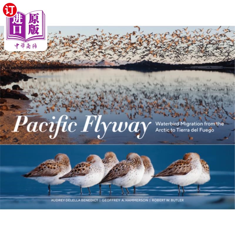 海外直订Pacific Flyway: Waterbird Migration from the Arctic to Tierra del Fuego 太平洋航道:水鸟从北极迁徙到火地岛