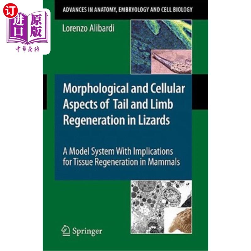 海外直订Morphological and Cellular Aspects of Tail and Limb Regeneration in Lizards: A M 蜥蜴尾巴和肢体再生的形态学