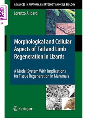 海外直订Morphological and Cellular Aspects of Tail and Limb Regeneration in Lizards: A M 蜥蜴尾巴和肢体再生的形态学