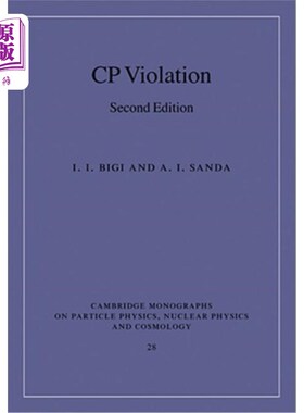 海外直订CP Violation CP违规