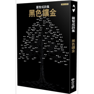 黑色镶金 港台原版 罗智成 联合文学 短诗集 注音符号 宝宝之书【中商原版】