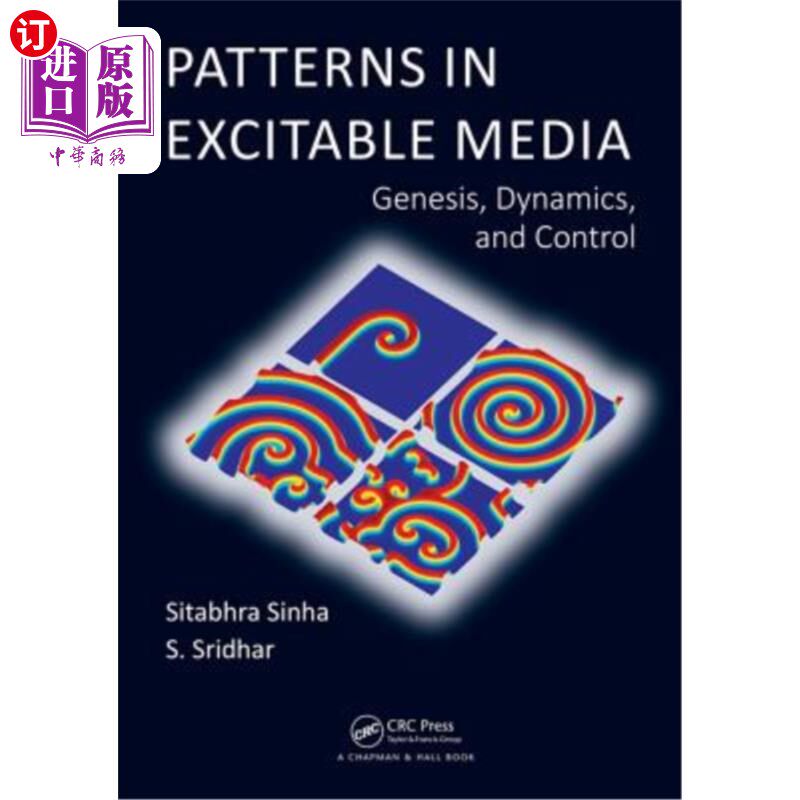 海外直订Patterns in Excitable Media: Genesis, Dynamics, and Control Patterns in Excitable Media: Ge