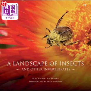 invertebrates and other 景观 昆虫和其他无脊椎动物 海外直订landscape insects