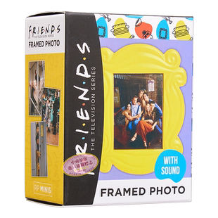 老友记 有声相框照片 Friends Framed Photo With Sound! 英文原版 Michelle Morgan【中商原版】