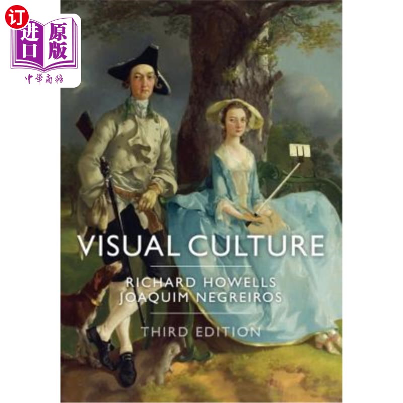 海外直订Visual Culture 视觉文化