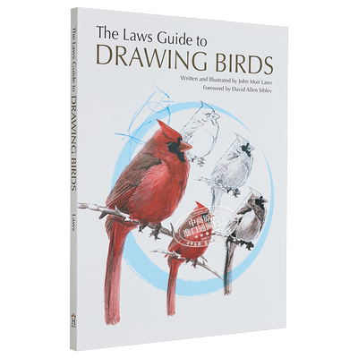 The Laws Guide to Drawing Birds 进口艺术 绘制鸟类规则指南【中商原版】
