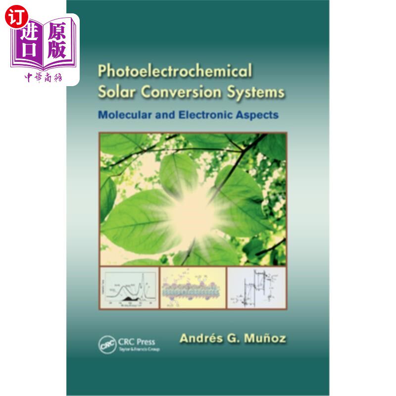 海外直订Photoelectrochemical Solar Conversion Systems: Molecular and Electronic Aspects 光电化学太阳能转换系统:分子