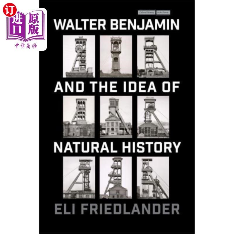 海外直订Walter Benjamin and the Idea of Natural History 瓦尔特·本雅明与自然史思想