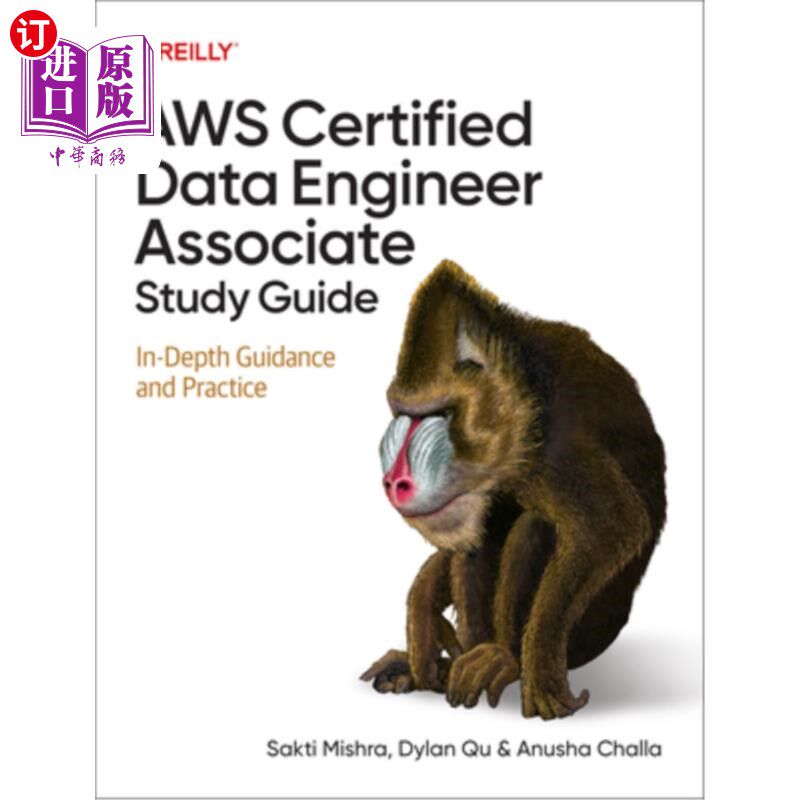 海外直订AWS Certified Data Engineer Associate Study Guide: In-Depth Guidance and Practic AWS注册数据工程师助理学习