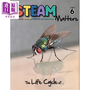 新加坡儿童英文课外读物 Issue 少儿英语科普杂志第六期 知识思维技能训练 STEAM Magazine 中商原版 Steam 原版 Matters