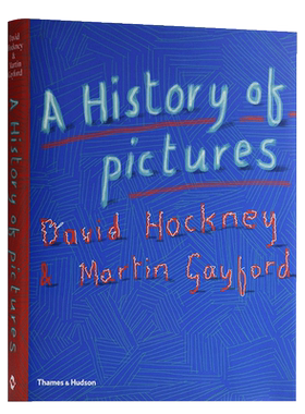 A History of Pictures 图画史 进口艺术 美术理论艺术书籍 大卫霍克尼 马丁.盖福德【中商原版】