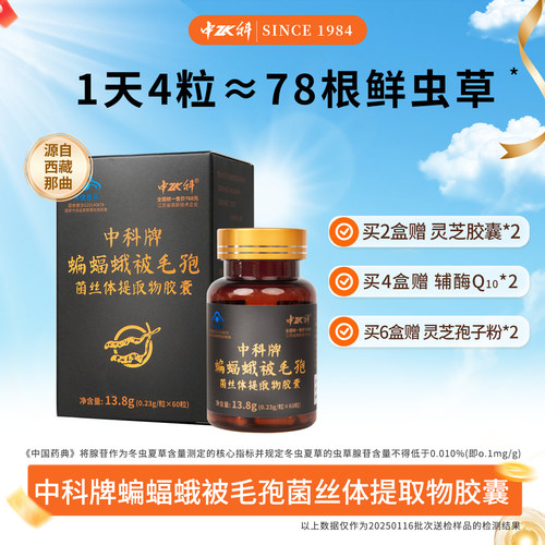菌丝体胶囊增强免疫力保健提取物