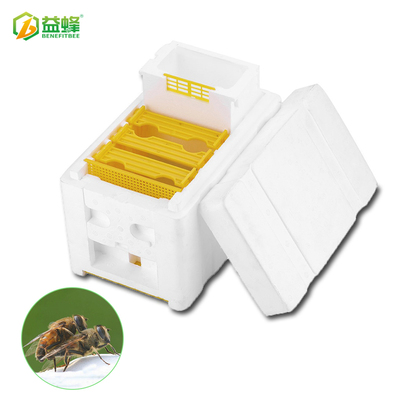蜂王交尾箱蜂箱益蜂养蜂工具