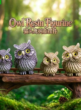 歪头猫头鹰微景观园艺造景摆件