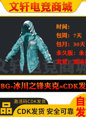 PUBG绝地求生皮肤冰川之锋夹克百搭上衣外套吃鸡steam端CDK兑换码