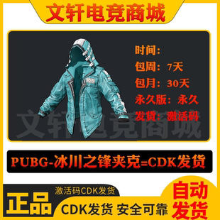PUBG绝地求生皮肤冰川之锋夹克百搭上衣外套吃鸡steam端CDK兑换码