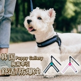 Корейская щедрочная пьеса и лучшая большая спина Тоттен Маленькая средняя собака -жилет -Взрыв -натяжение -натяжение собаки