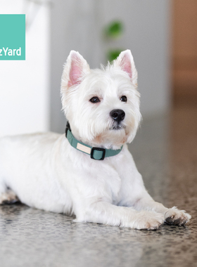 Fuzzyard Life全棉项圈牵引狗狗项圈牵引绳宠物外出遛狗小中型犬