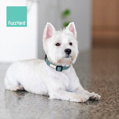 Fuzzyardlife系列全棉项圈