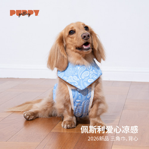 韩国pg春夏新款爱心凉凉感背心