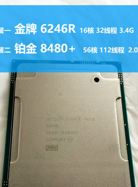 Intel/英特尔 其他 6246R 8480+ cpu H20服务器 至强LGA3647