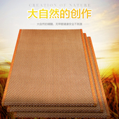 榻榻米地垫客厅椰棕垫定做踏踏米日式 床垫草垫加厚地台垫榻榻米垫