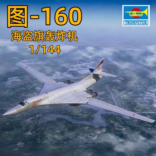 小号手03906海盗旗飞机模型