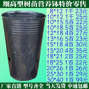 脐橙营养盆营养钵树苗加厚营养杯细长型黑色育苗钵树苗杯蔷薇提根