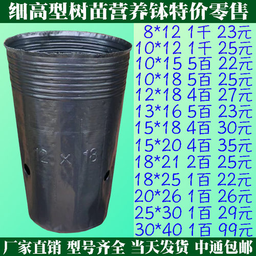 加厚营养杯细长型黑色蔷薇提根