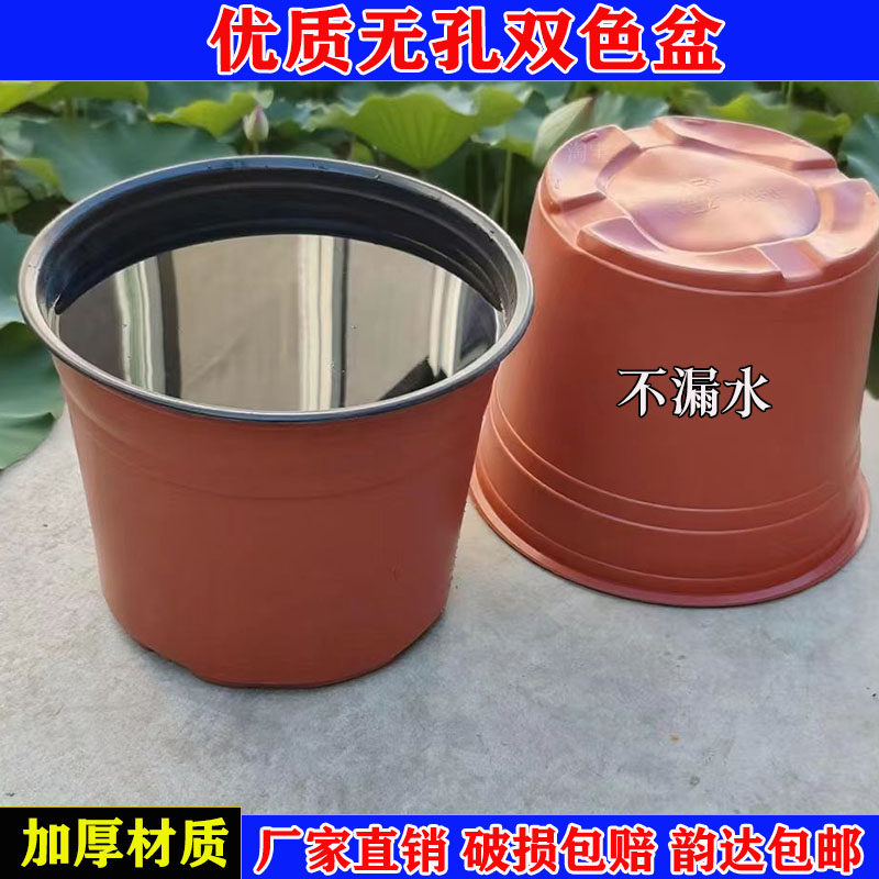加厚pp材质简易碗莲盆水盆双色盆图片