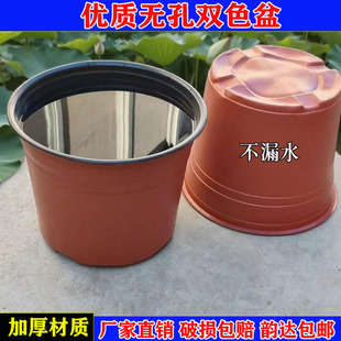 加厚pp材质简易碗莲盆水盆塑料荷花盆水培荷花盆睡莲盆不漏水无孔