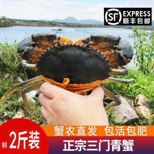 正宗三门大青蟹公蟹处子2斤3-4只