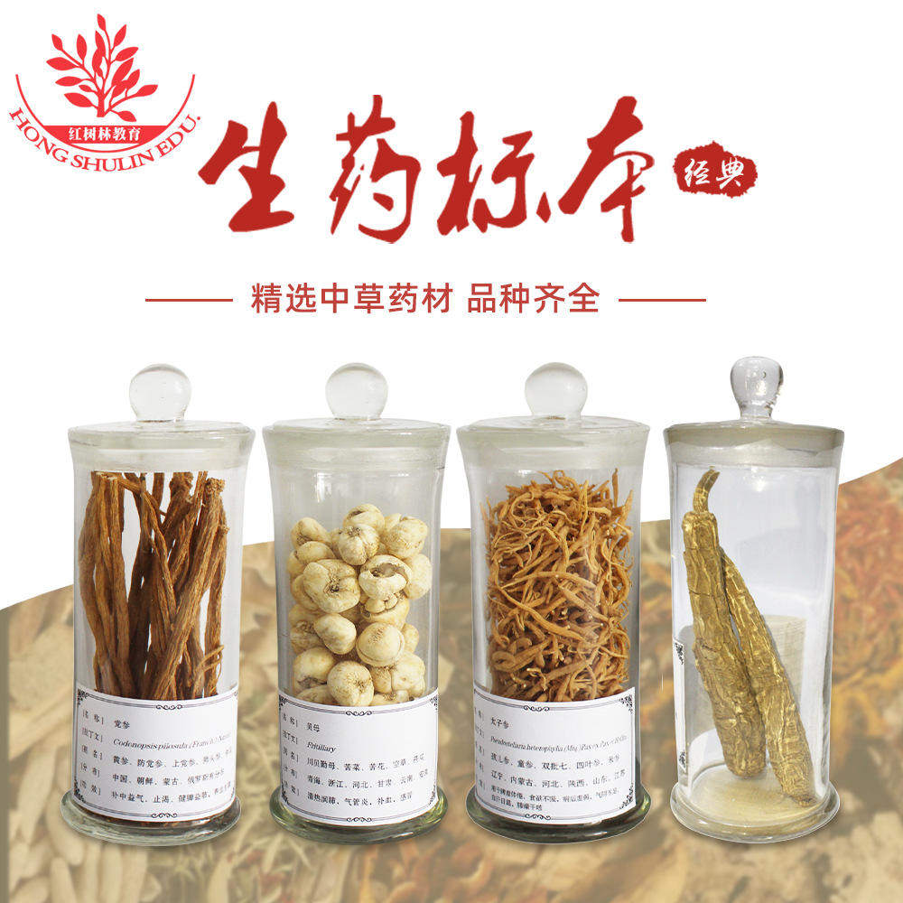 人工采集品种齐全纯自然未经炮制生药个子外形美观展示用中药标本