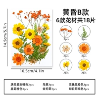 Сумеречные таблетки B-18