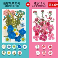 Флуоресцентная желтая гидрангея 25 таблетки+красный макияж 18