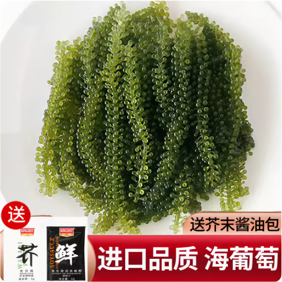 网红推荐海葡萄100g*5包新鲜即食海白菜盐渍蔬菜绿色鱼子酱长寿菜